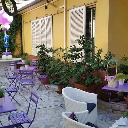 Stipino Lucca
