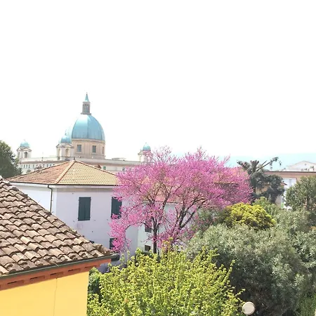 Stipino