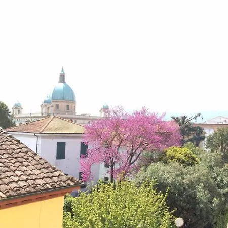 Stipino ルッカ
