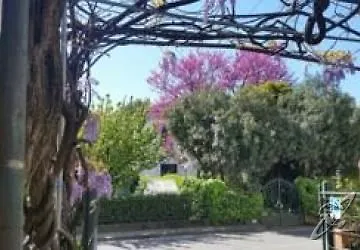 Stipino 2* ルッカ